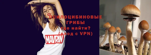 гидропоника Белоозёрский